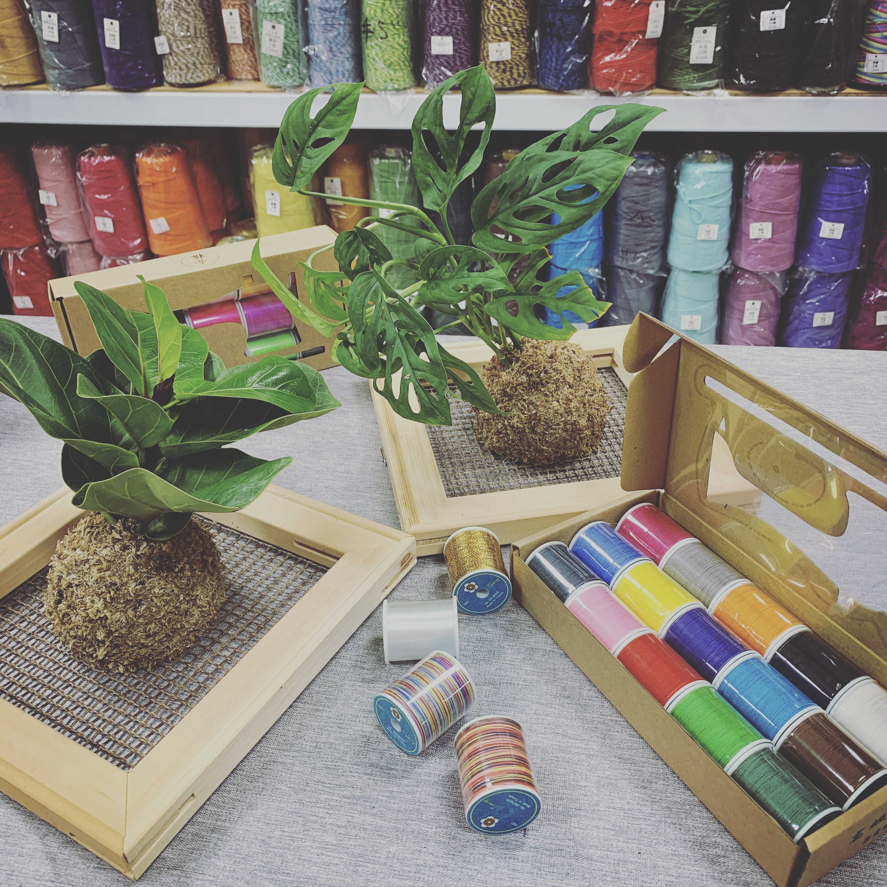 167E8DE0-6585-4996-8775-1BF60A2C45F7